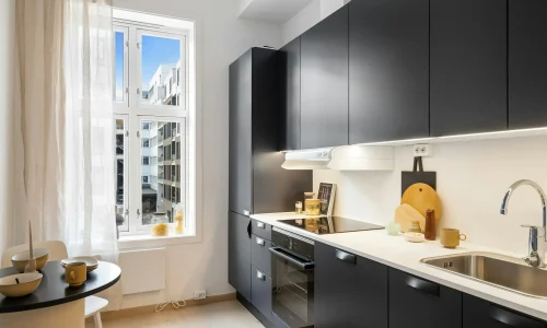 Black-Finished Cabinets: A Modern Touch for Your Kitchen